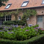 Wilgenwind Vakantiewoningen